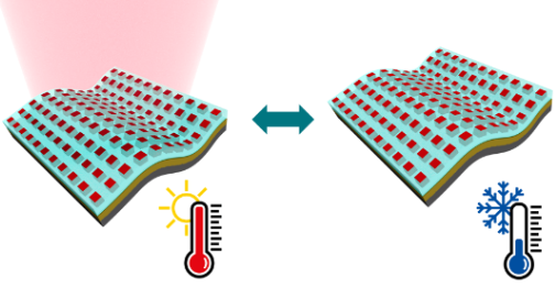 Temperature-adaptive radiative coatings